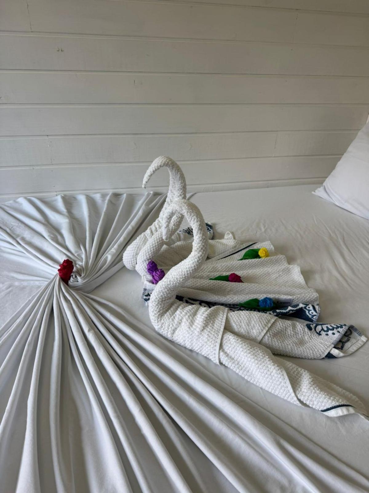 Pousada E Hostel Vale Do Rosa Praia do Rosa Ngoại thất bức ảnh